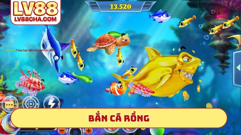 ban-ca-rong