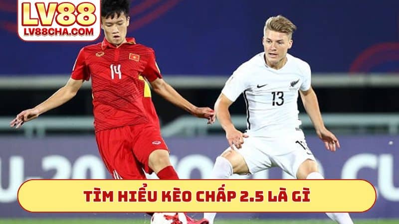 Tìm hiểu kèo chấp 2.5 là gì
